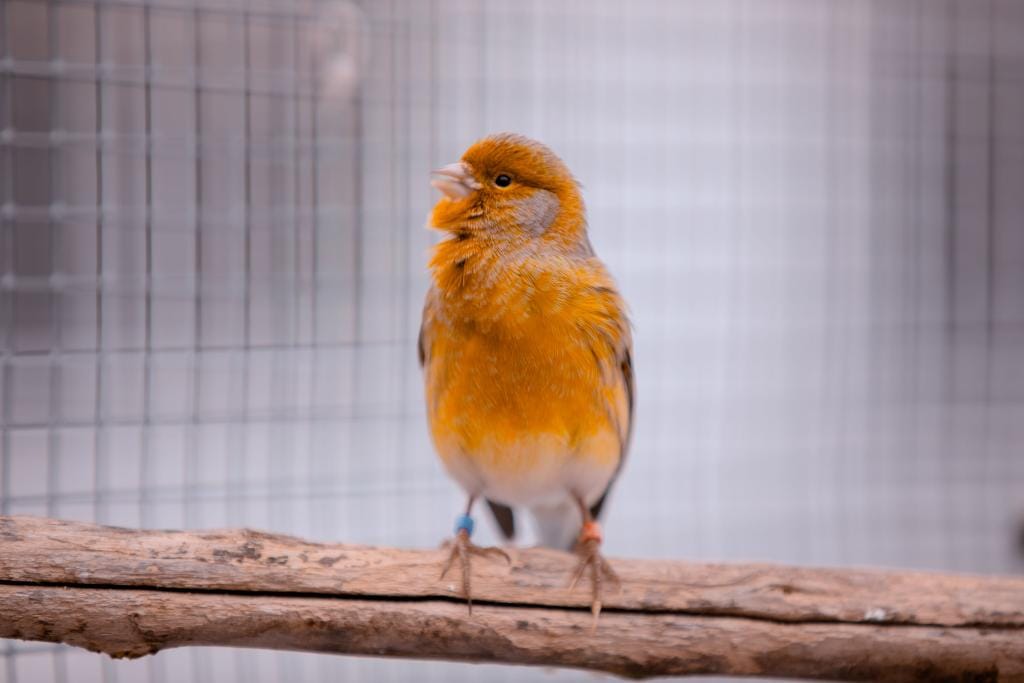 Foto: Christopher Michaelis