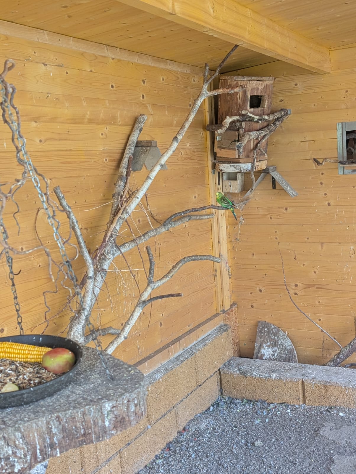 WhatsApp Bild 2025 09 05 um 14.08.02 626107f8