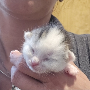 Screenshot_20250729_023507_Gallery