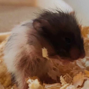 387419634_347252934508513_7544648026820063148_n-54518d2e-640w