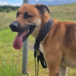 WhatsApp Bild 2025-09-14 um 15.24.14_05e4582c