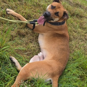 WhatsApp Bild 2025-09-14 um 15.24.14_714b905b