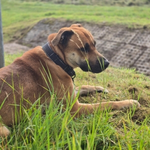 WhatsApp Bild 2025-09-14 um 15.24.14_8b9a7964