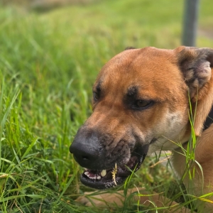 WhatsApp Bild 2025-09-14 um 15.24.14_b4bf5333