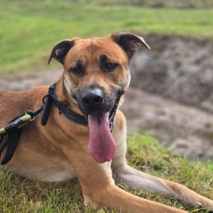 WhatsApp Bild 2025-09-14 um 15.24.14_c0c7872e