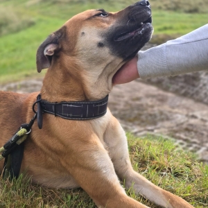 WhatsApp Bild 2025-09-14 um 15.24.15_02ce383b