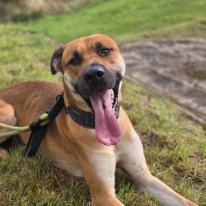 WhatsApp Bild 2025-09-14 um 15.24.15_b9ea41b2