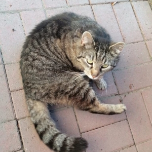 Screenshot_20250915_213617_Facebook