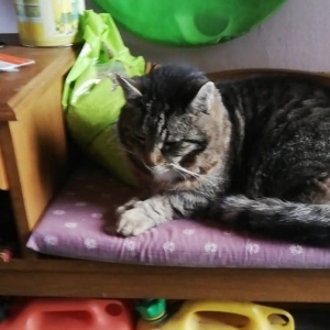 Screenshot_20250915_213621_Facebook