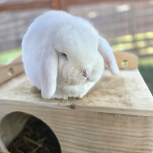 Screenshot_20260223_155508_Gallery