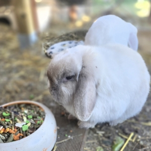 Screenshot_20260223_155515_Gallery