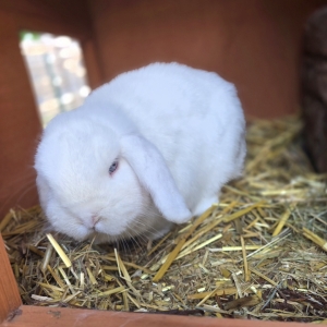 Screenshot_20260223_155523_Gallery