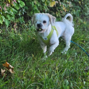 561301871_813796028064298_882321574507690508_n