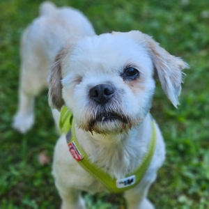 561529328_813796074730960_6556157367673691567_n