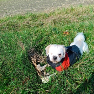 561651326_813796011397633_2101587333104478107_n