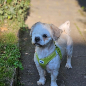 562290486_813796048064296_1596152815665804865_n