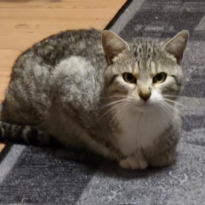 motion_photo_2012990253087315900