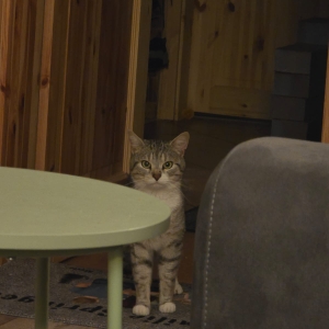 motion_photo_2693602387539676206