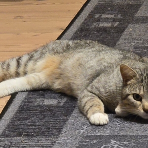 motion_photo_3503970332803345963