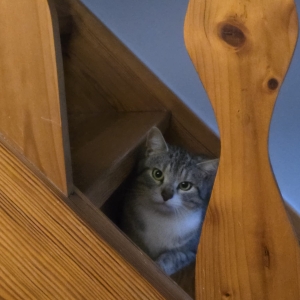 motion_photo_6898760822870292623