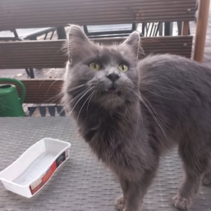 FB_IMG_1761215022235