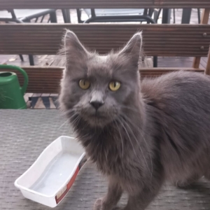 FB_IMG_1761215025462