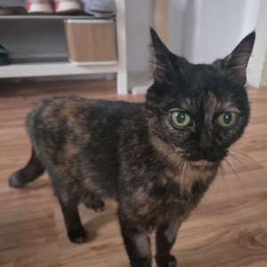 f3bff05a9df0483692e115c0190e6418(1)