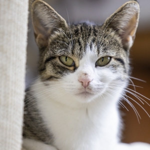 IMG-20251005-WA0189(1)