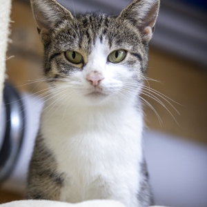 IMG-20251005-WA0192(1)