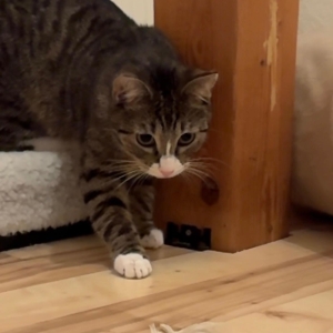 WhatsApp Image 2026-03-03 at 21.59.11