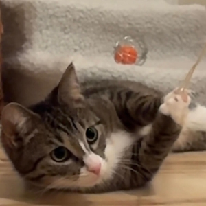 WhatsApp Image 2026-03-03 at 21.59.11c