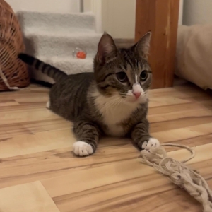 WhatsApp Image 2026-03-03 at 21.59.12