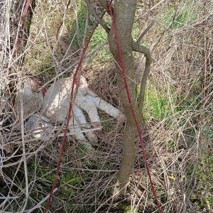 WhatsApp Image 2026-02-21 at 11.16.34