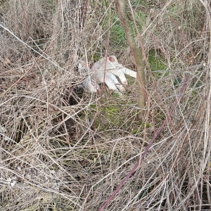 WhatsApp Image 2026-02-21 at 11.16.51