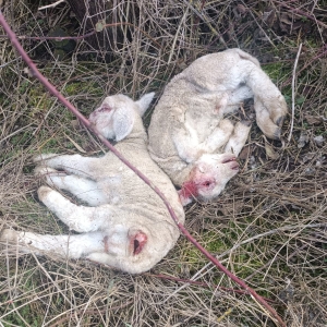 WhatsApp Image 2026-02-21 at 15.25.12