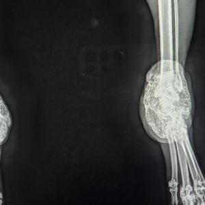 IMG-20260129-WA0244(2)