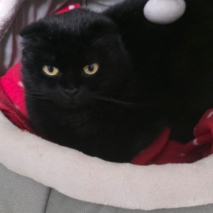 IMG-20260129-WA0251(2)