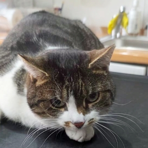 WhatsApp Image 2026-03-16 at 20.12.05_2