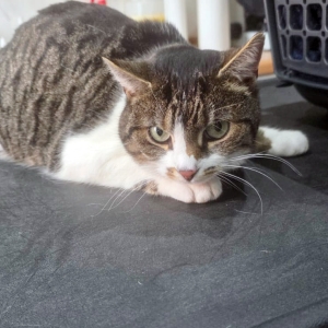 WhatsApp Image 2026-03-16 at 20.12.05