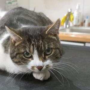 WhatsApp Image 2026-03-16 at 20.12.06_3