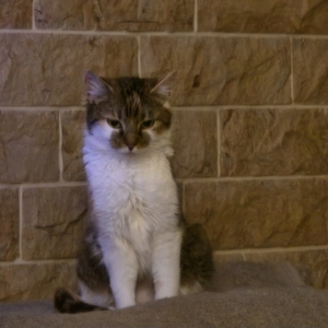 Screenshot_20260331_065827_Gallery