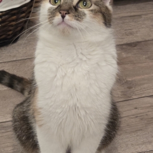 Screenshot_20260331_065834_Gallery