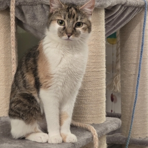 Screenshot_20260331_065844_Gallery