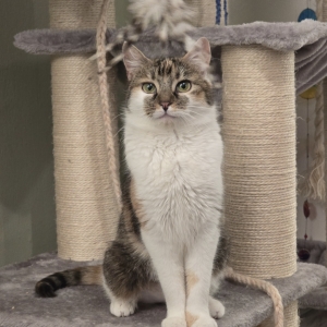 Screenshot_20260331_065954_Gallery