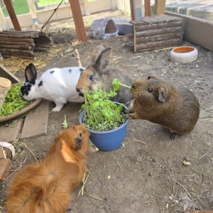 Screenshot_20260617_000456_Gallery
